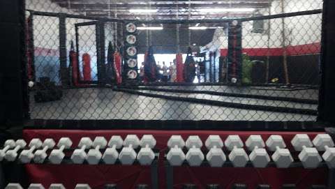 Jobs in Fight-Sport Training Center - reviews
